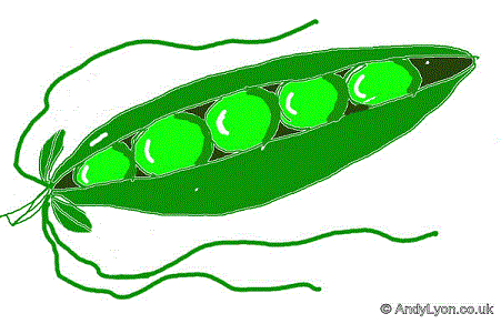 Peas - Digital