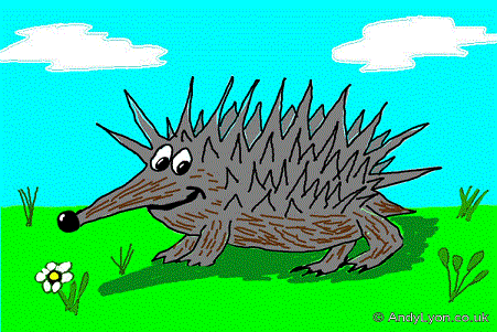 Hedgehog