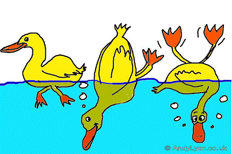 Ducks