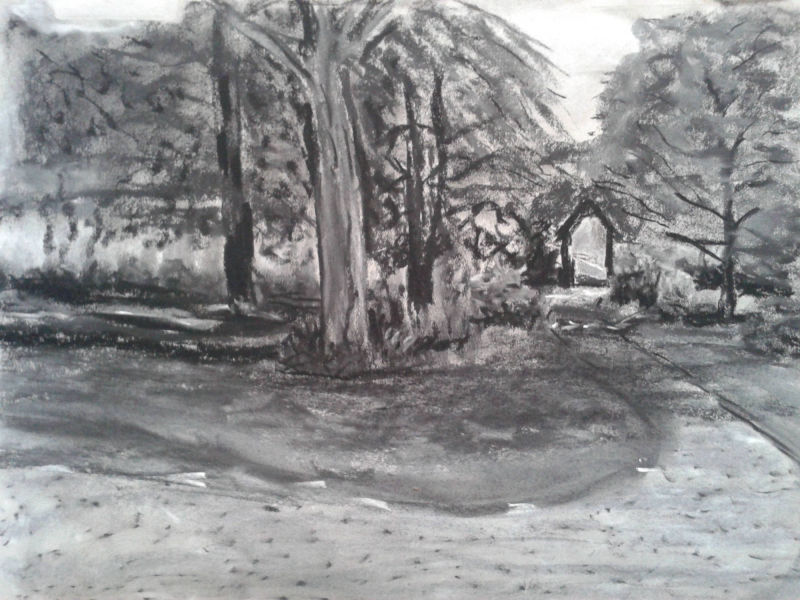 Yard