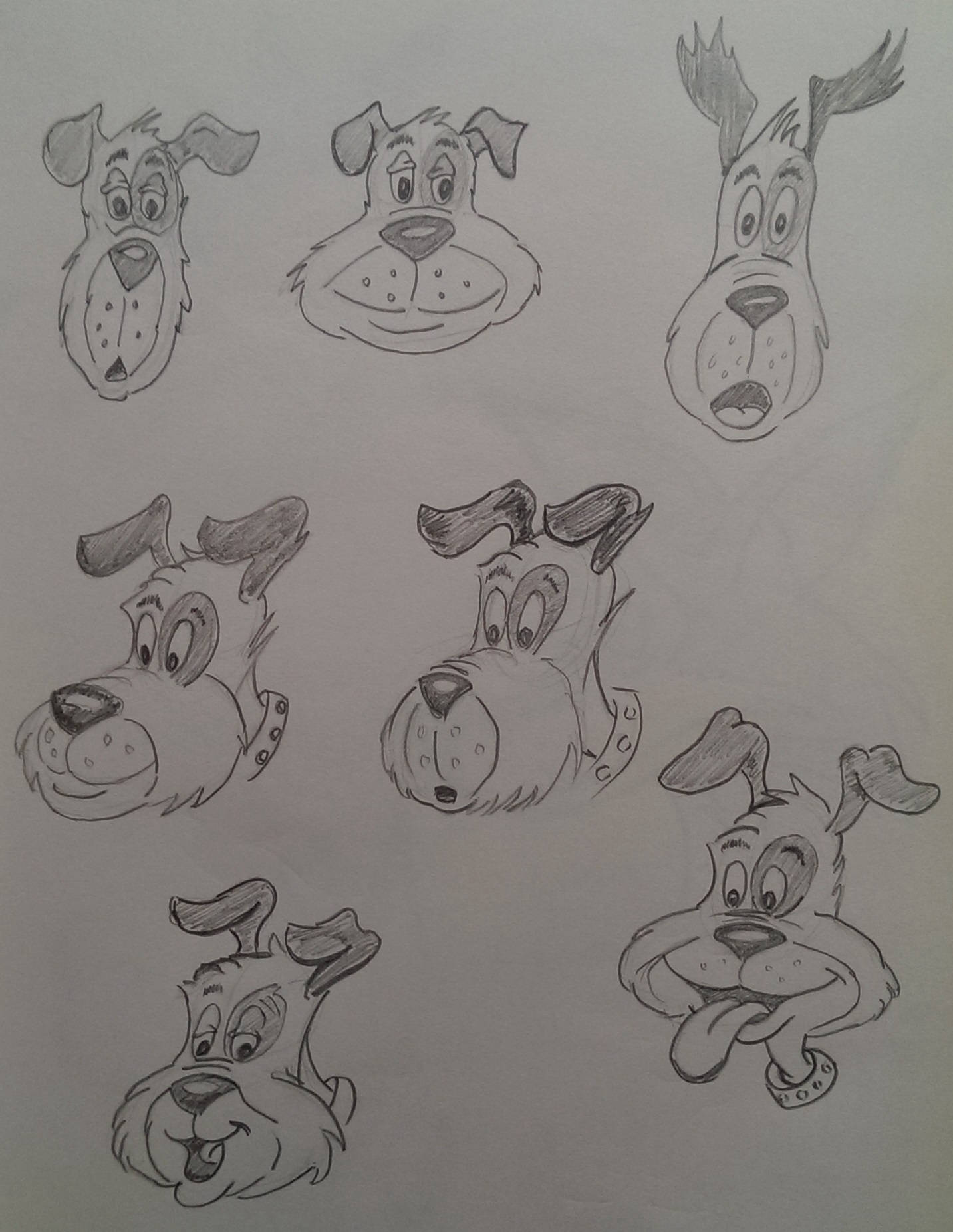 Dogs