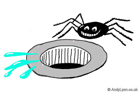 Spider