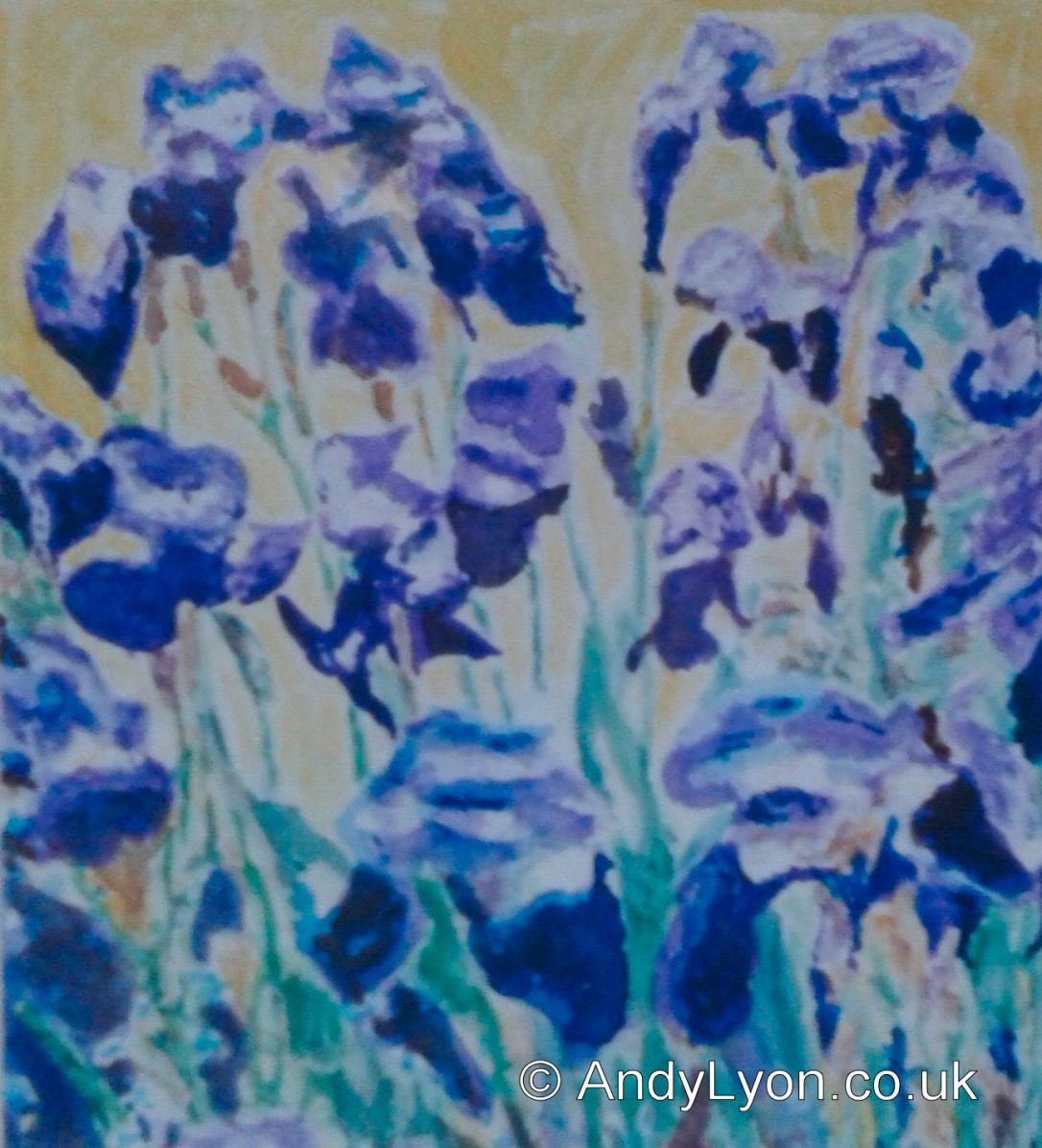 Iris