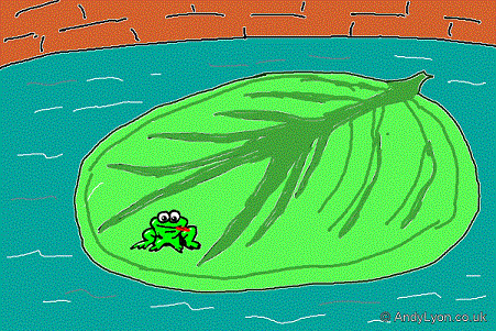 Frog