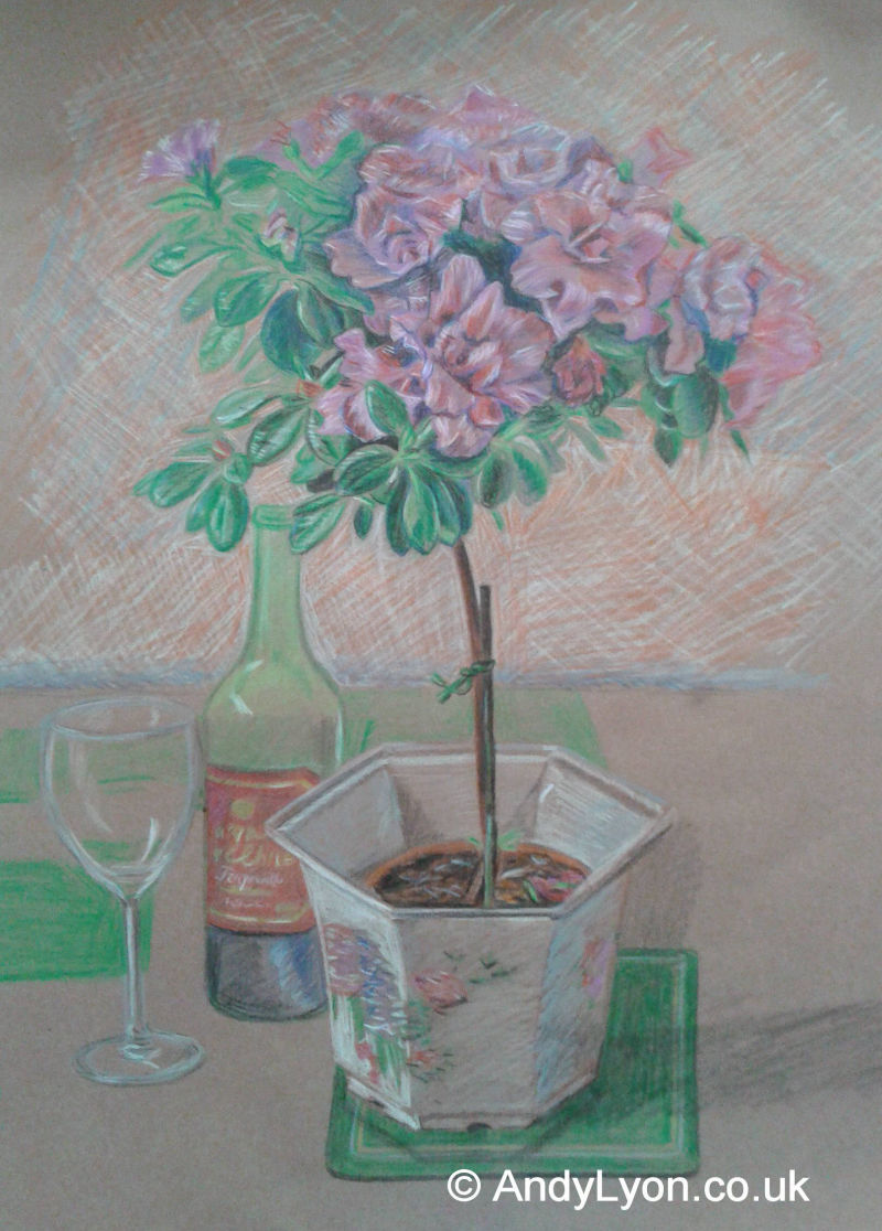 Plant