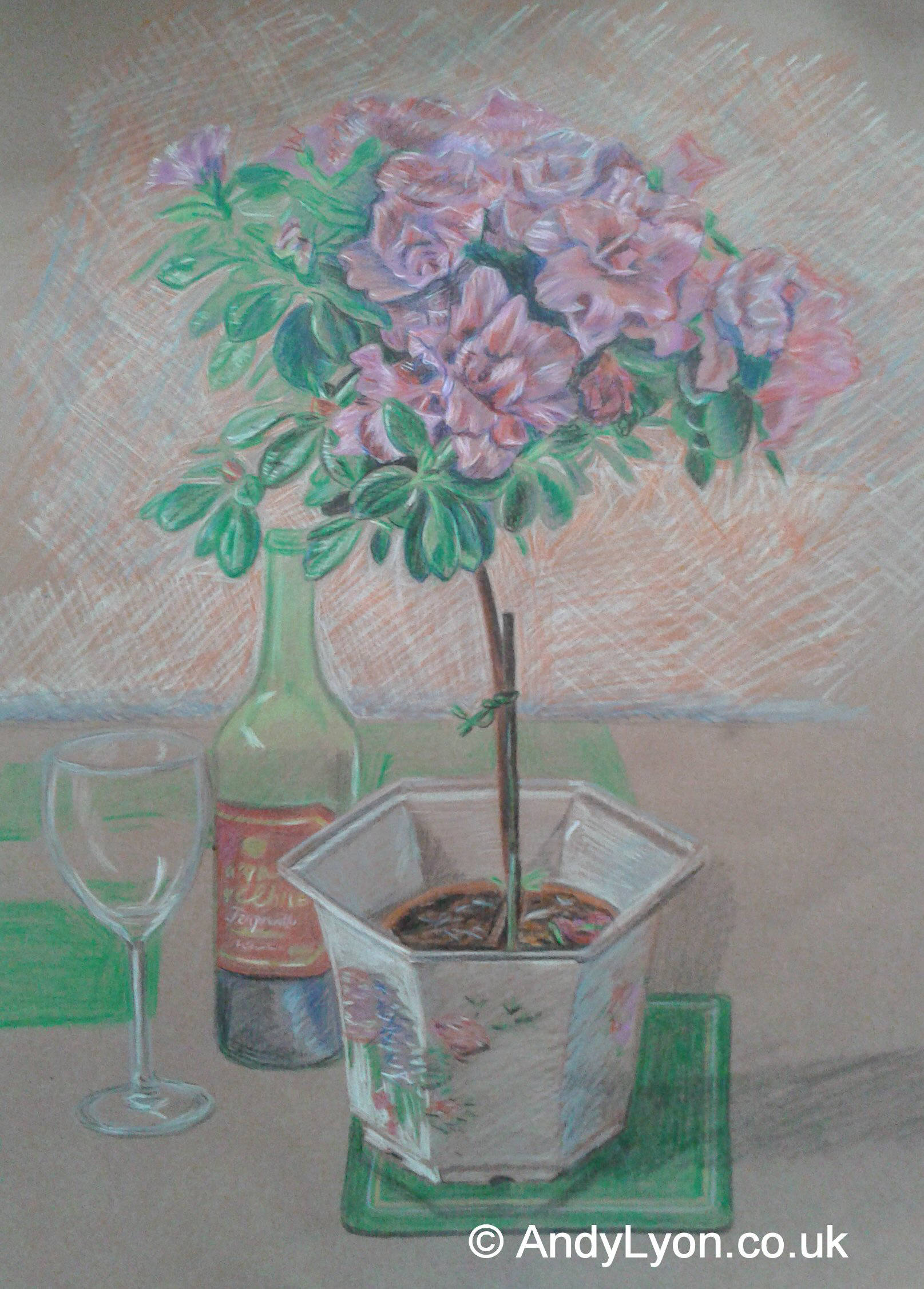 Plant