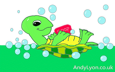 Turtle